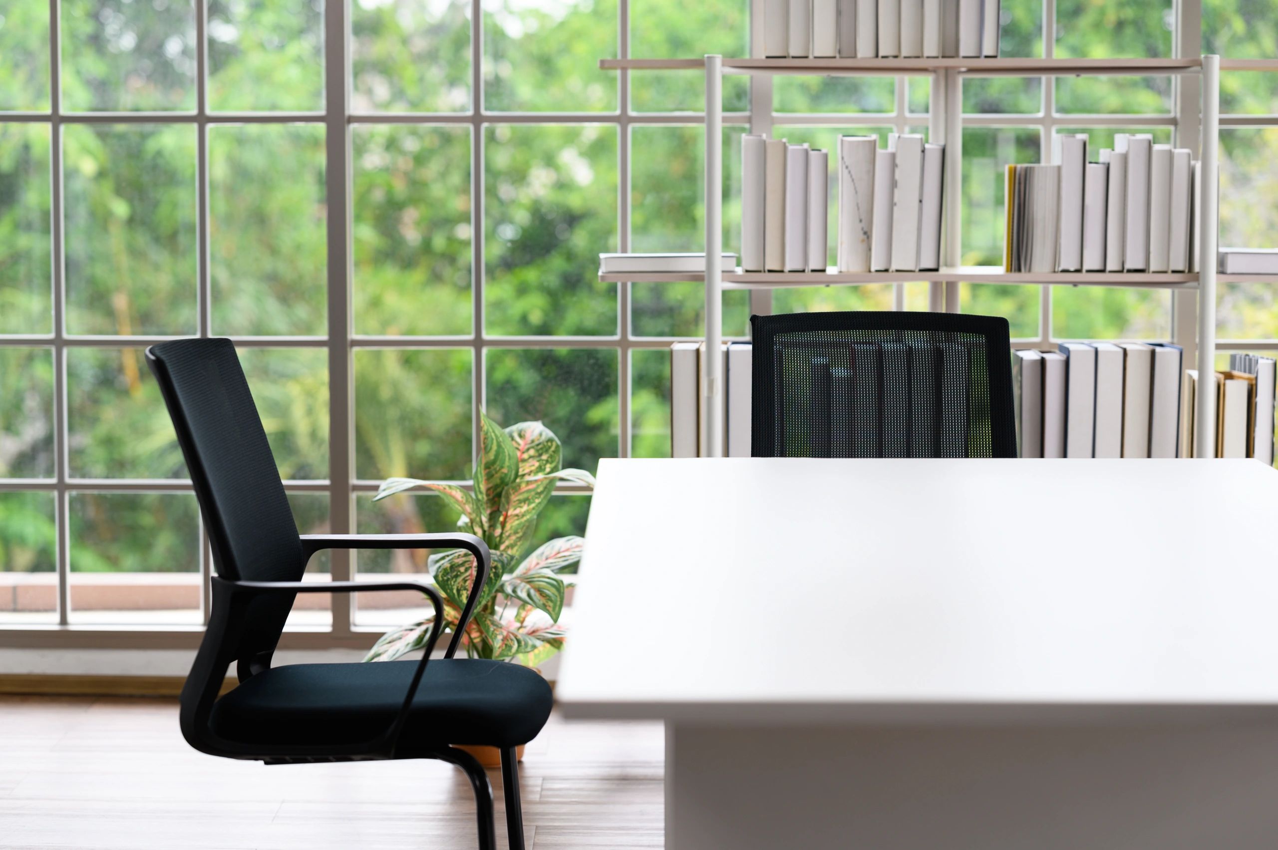 Bookshelf and workspace in a publishing office